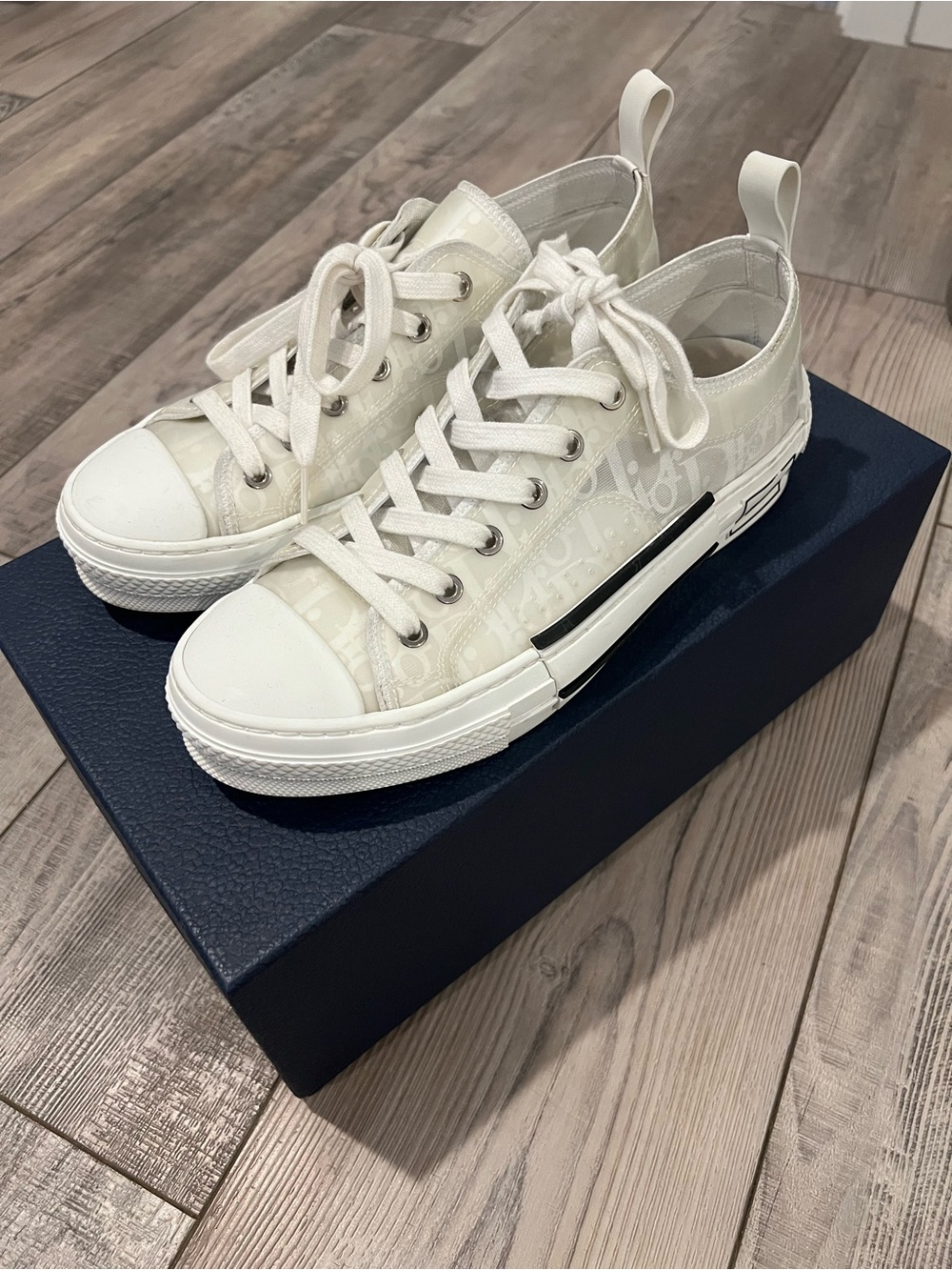 Dior B23 Light Oblique Sneaker (White and Clear)